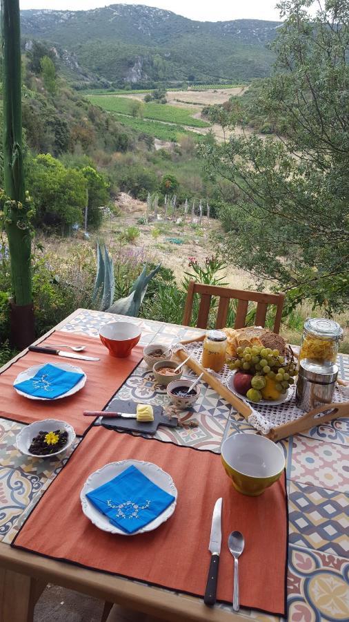Fraissé-des-Corbières La Loubiere, Ancienne Bergerie En Pleine Garrigue B&B 외부 사진