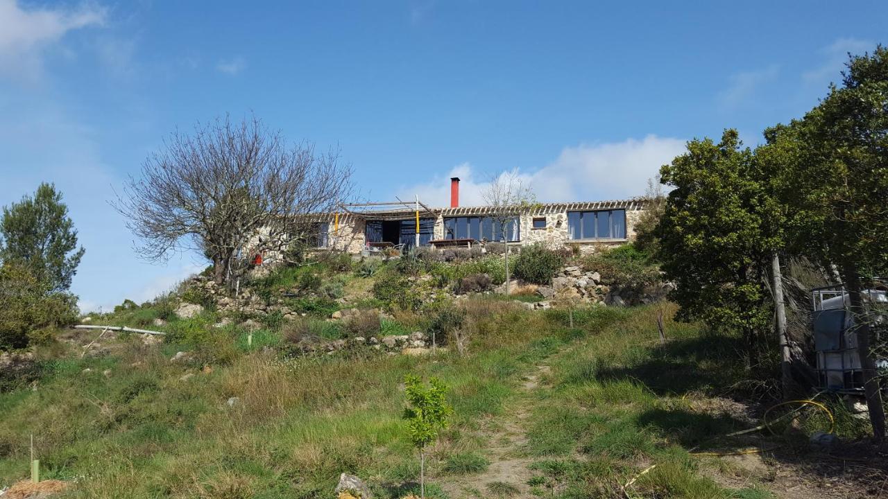 Fraissé-des-Corbières La Loubiere, Ancienne Bergerie En Pleine Garrigue B&B 외부 사진