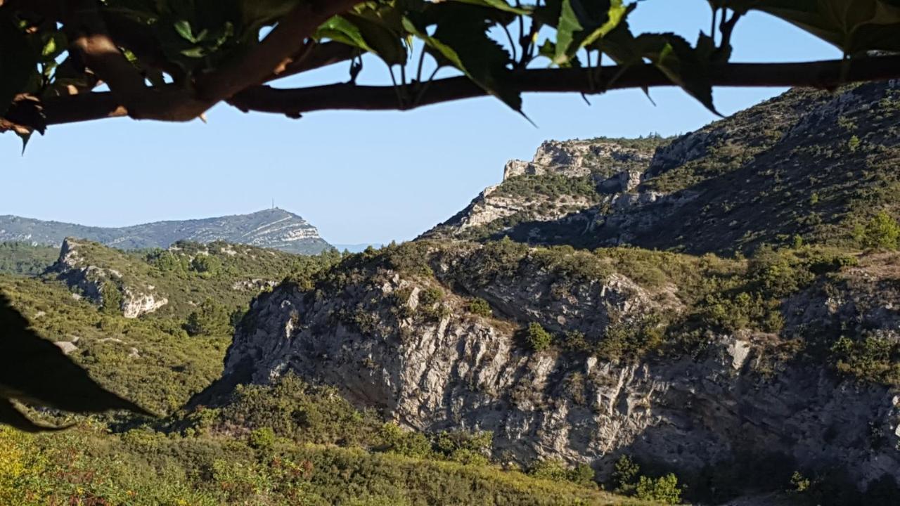 Fraissé-des-Corbières La Loubiere, Ancienne Bergerie En Pleine Garrigue B&B 외부 사진
