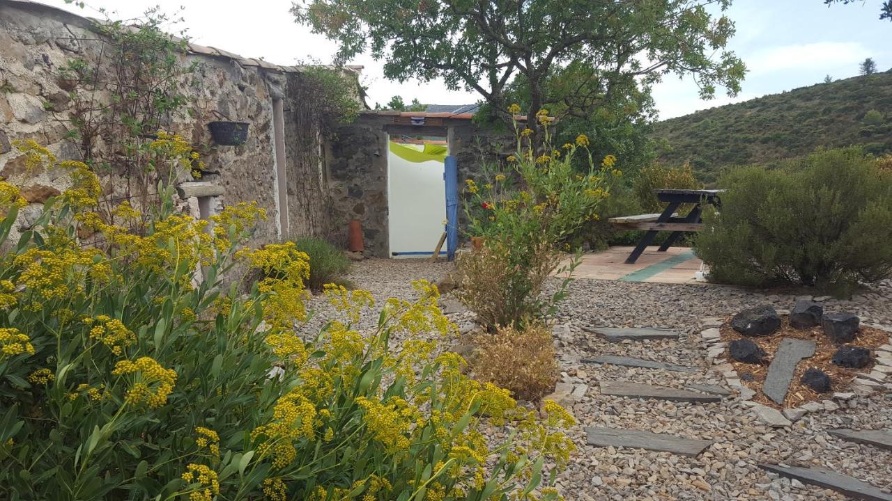 Fraissé-des-Corbières La Loubiere, Ancienne Bergerie En Pleine Garrigue B&B 외부 사진