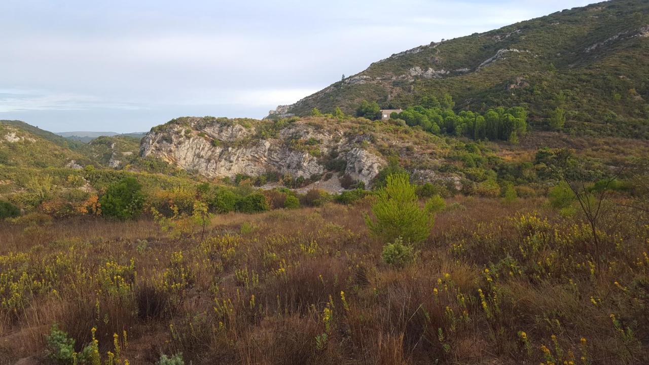 Fraissé-des-Corbières La Loubiere, Ancienne Bergerie En Pleine Garrigue B&B 외부 사진